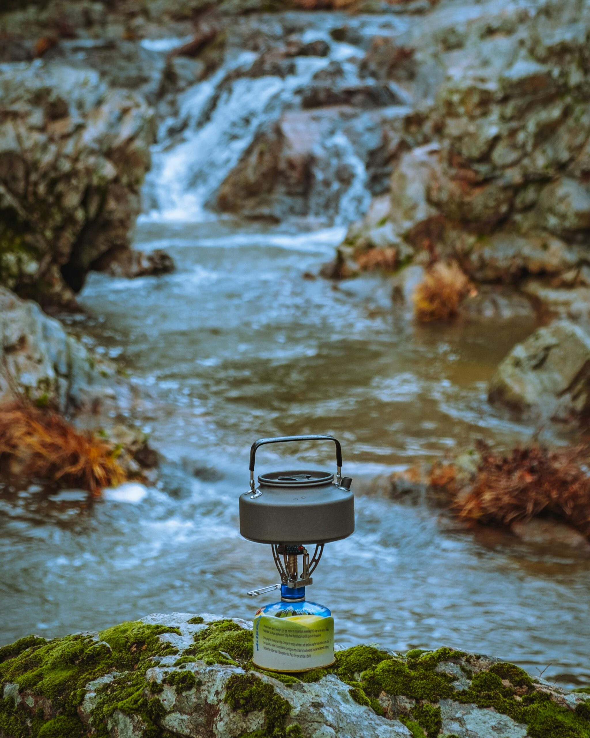 pexels-seyfidurmaz-14756576